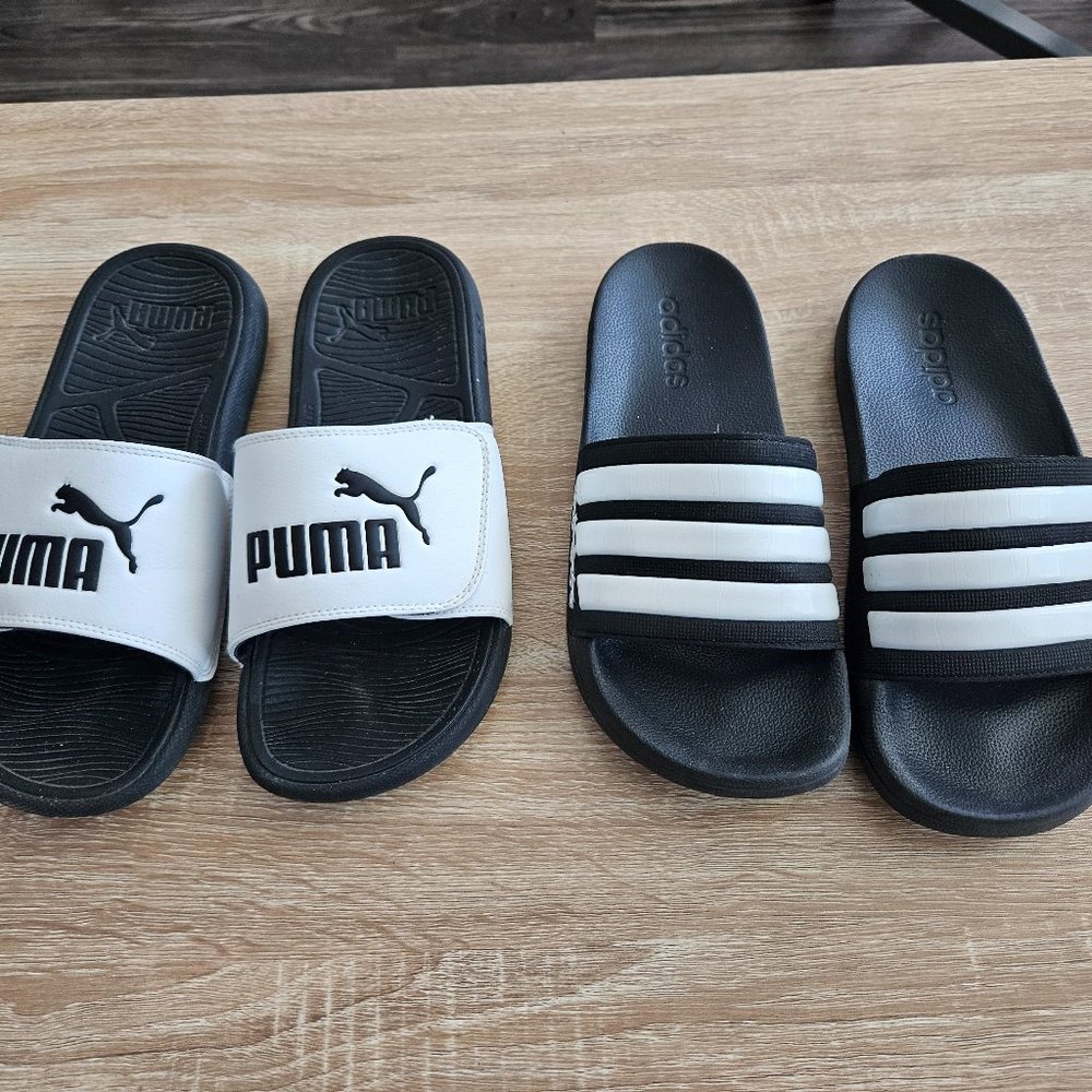 Slides (NEW)